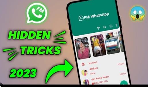 Maximizing Your Productivity with FM WhatsApp